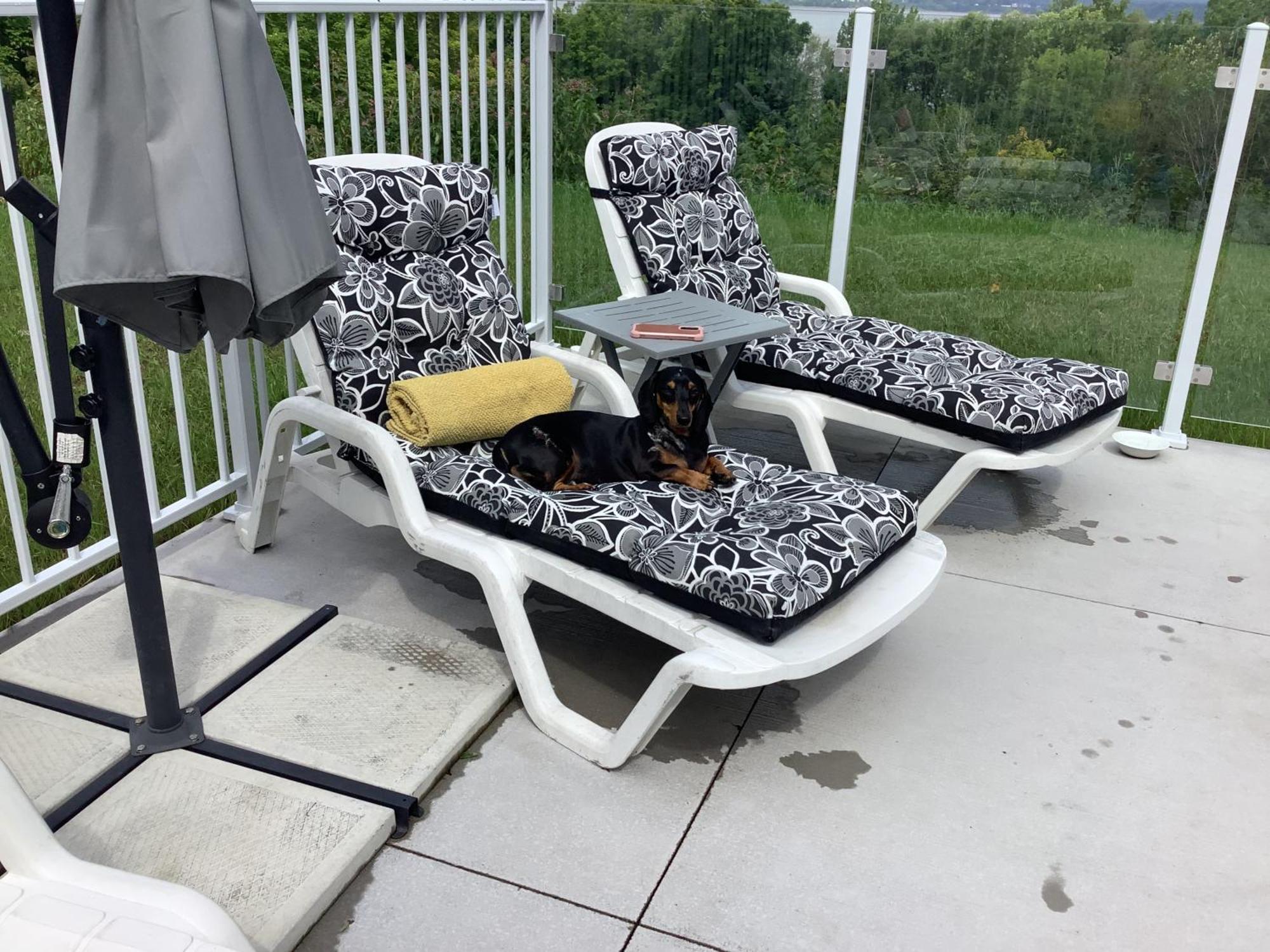 Les Saisons Du Fleuve Bed & Breakfast Lotbiniere Ngoại thất bức ảnh